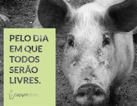 Onde Comprar Apenas Cosm Ticos Veganos Naturais Acorda Bonita