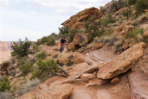 Mountain Bike Trails - Singletracks Mountain Bike News