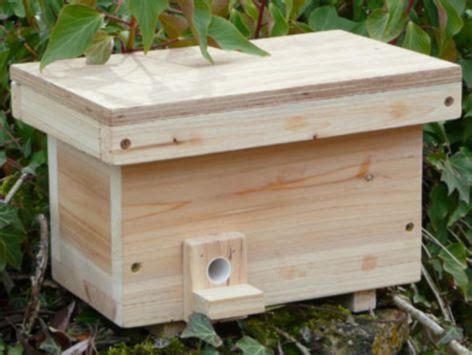 trendy bumblebee nest boxes    waste  time daily