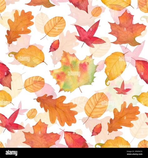 Watercolor Autumn Fall Seamless Pattern. Leaf Pattern. Botanical illustration. October print ...