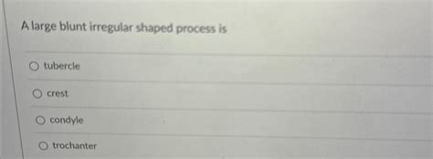 solved  large blunt irregular shaped process cheggcom