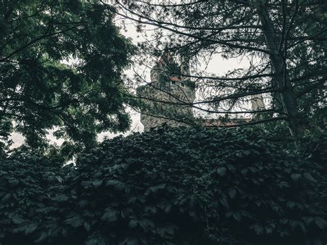 Toronto Travel Guide - Mapway