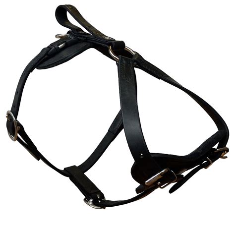 Redline K-9 Padded Leather Quick Release Harness – DogSport Gear