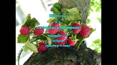 малина из холодного фарфора - YouTube