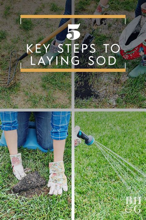 How To Plant Sod In Simple Steps How To Lay Sod Diy Lawn Sod