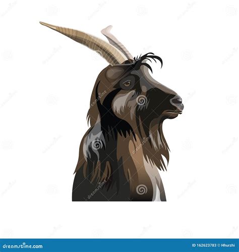 Portrait Of The Goat Head In Profile Stock Vector Illustration Of