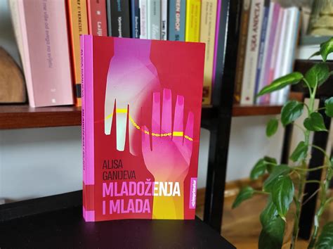 Roman Mladoženja i mlada je suočavanje sa naslijeđem Littera Magazin