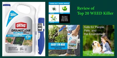 Best Weed Killer For Lawns Reviews Buying Guide And Faqs 2022