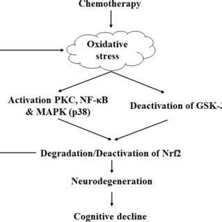 Schematic Representation Of Possible Mechanisms Of Chemotherapy Induced