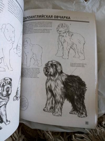 Книга: "Полный курс рисования". Купить книгу, читать рецензии ...