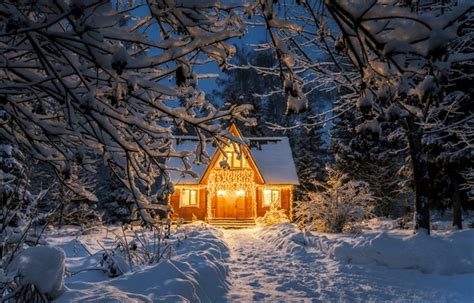 16,274 Christmas Cabin Forest Images, Stock Photos, 3D objects ...