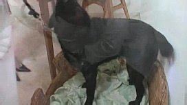 MILF Dutch Fantasy XNXX