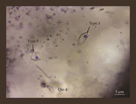 Photomicrographs Showing Different Types Of Fluid Inclusions In