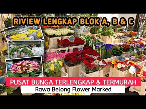 PASAR BUNGA RAWA BELONG Pasar Bunga Dijamin Terlengkap Dan Termurah