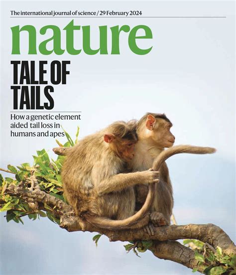 Itai Yanai On Linkedin How Did We Lose Our Tail In The New Issue Of