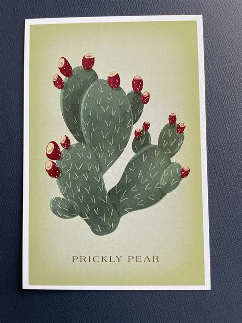 Lantern Press Prickly Pear Vintage Flora 110998 Flickr