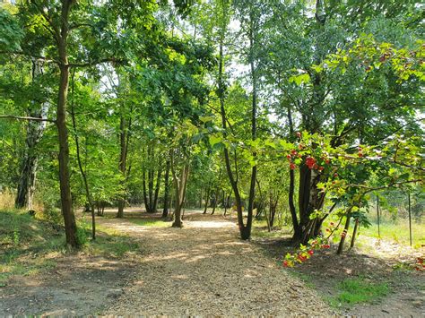 Park Sadová - Do parku