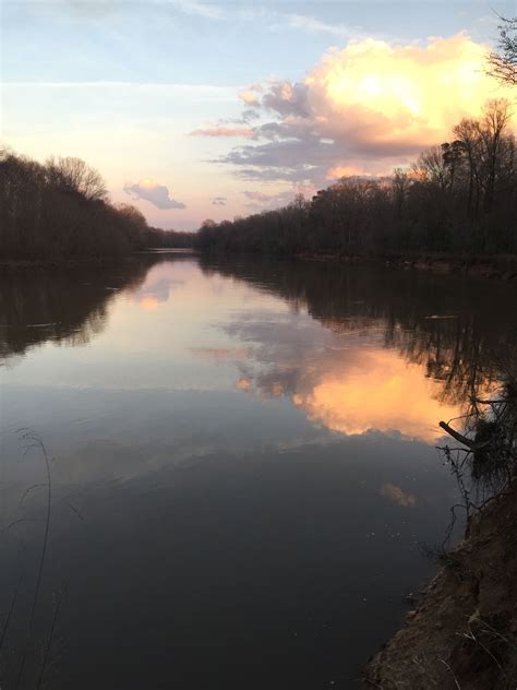 The Great Pee Dee River Bridge | River, Greats, Greatful