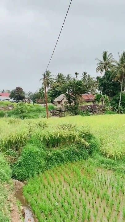 sikabu kabu nature alam alamindonesia youtube