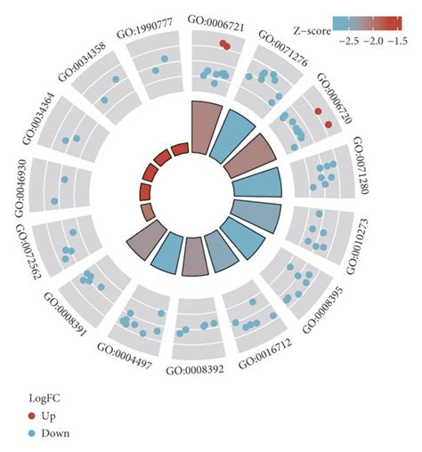 Go Pathway Enrichment Analyses Of Candidate Genes A Go Analysis