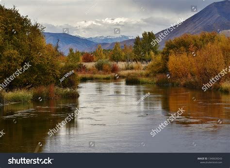 silver creek images stock  vectors shutterstock