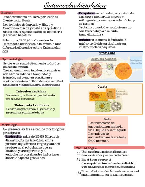 Parasitología - Entamoeba Histolytica - Entamoeba histolytica Historia