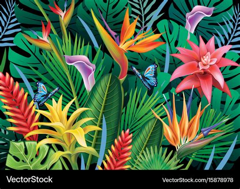 Background with exotic tropical flowers Royalty Free Vector