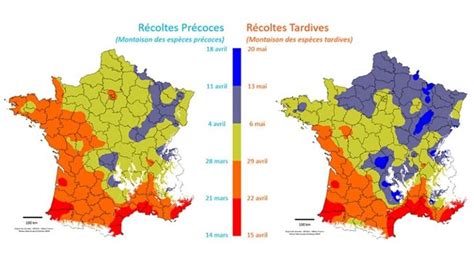 Les Conseils D Arvalis Pour Anticiper Ses Ensilages D Herbe