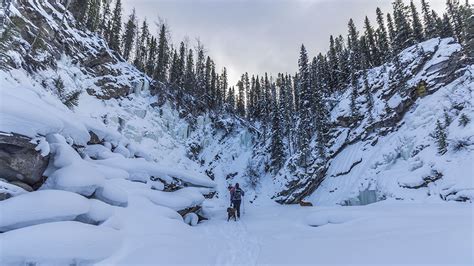 Tumbler Ridge Unesco Global Geopark Tumbler Ridge Bc