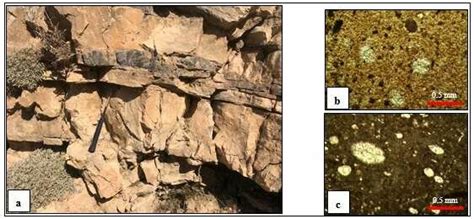 A Field Photograph Shows Cherty Limestone Lithofacies B