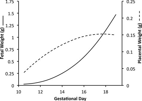 The Placenta In Toxicology Part Iii Pathologic Assessment Of The