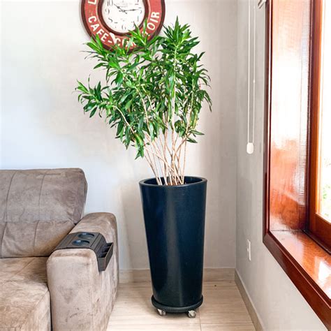 Vaso De Plantas Grande Para Sala - Vaso de Plantas Grande 79cm Sala de Estar Decoração Preto | Leroy Merlin