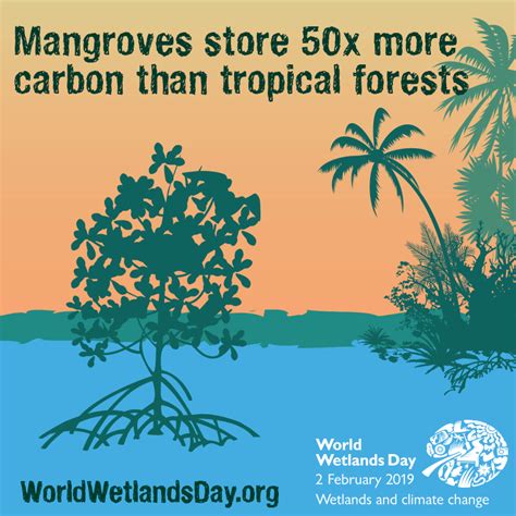 Adventures With The Naked Hermit Crabs January 2019