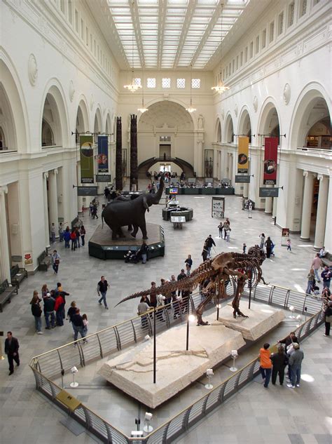 Field Museum, Chicago | Chicago museums, Chicago city, Chicago travel