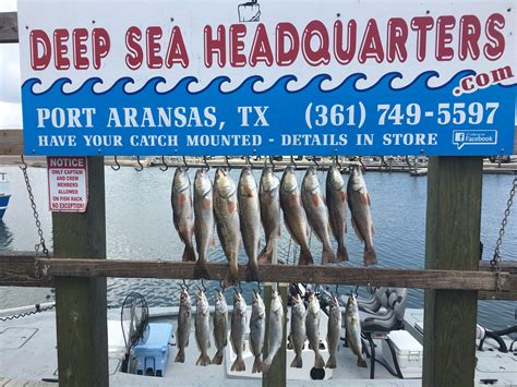 Fishing The Texas Gulf Coast An Anglers Guide To More Than 100 Great Places To Fish 3