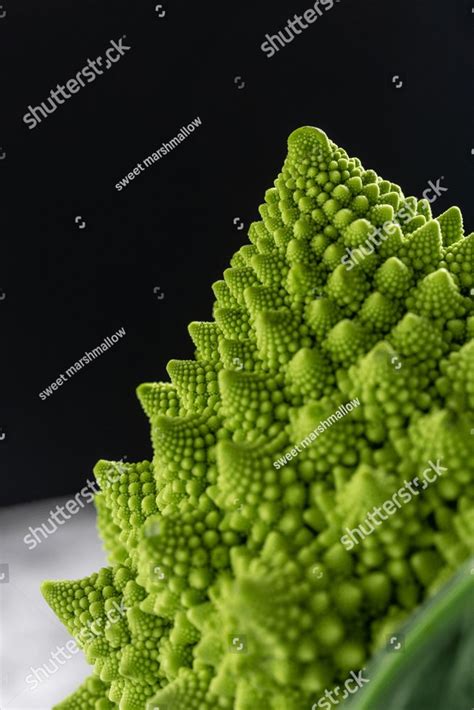 Romanesco Broccoli Close Up The Fractal Vegetable Is Known For It S