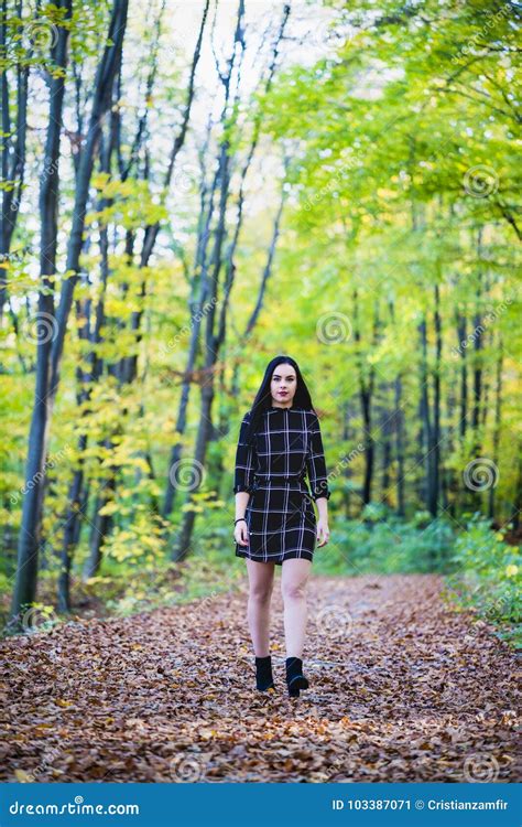 A Beautiful And Elegant Brunette Posing In The Forest During Autumn Stock Image Image Of