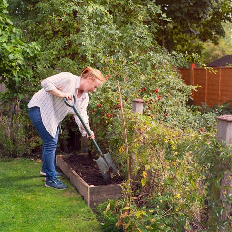 How to Grow and Care for San Marzano Tomato Plants - Dengarden