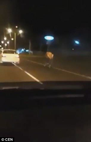 Couple Caught Having Sex On Back Of Motorcycle In Paraguay Daily Mail Online