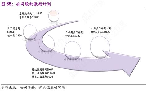 想问下各位网友公司股权激励计划实际的情况行行查行业研究数据库