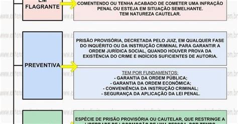 ESPÉCIES DE PRISÃO Teoria Geral da Prisão prisão em flagrante