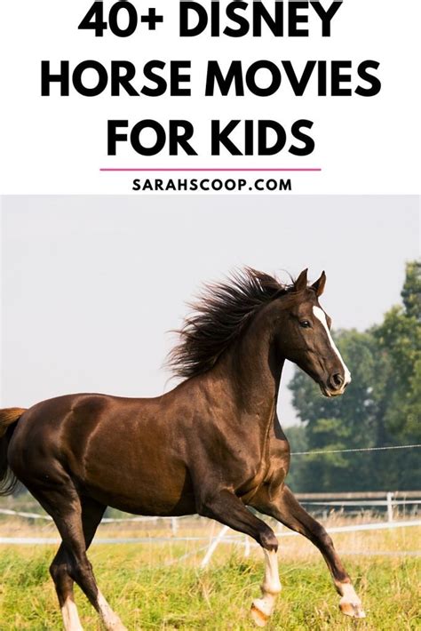 40 Disney Horse Movies List For Kids To Watch Sarah Scoop