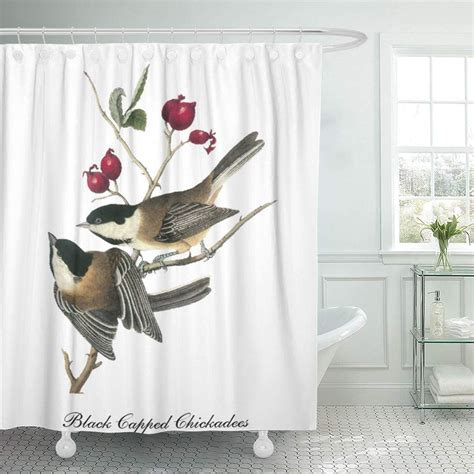 Cynlon Bird Vintage Audubon Chickadees Famous Nan Engen Black Capped