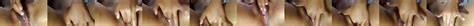 Indonesian Babe Masturbate In Her Room Porn Bd XHamster XHamster