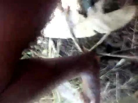 Png Bush Fucks 02 Homemade Homemade Porn XHamster