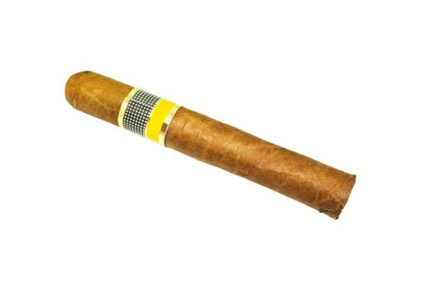 390 Big Brown Cigar Stock Photos Pictures And Royalty Free Images Istock
