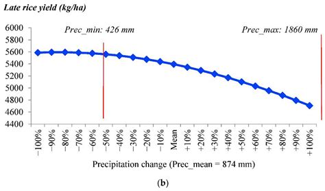 Top Chefs Predict The Decline Of Rice Rizz - RYZE Superfoods
