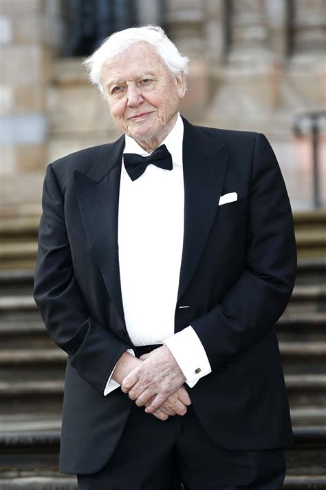 David Attenborough Young 8