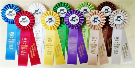 Duet 12 Award Ribbon Custom Rosette Custom Award Ribbons