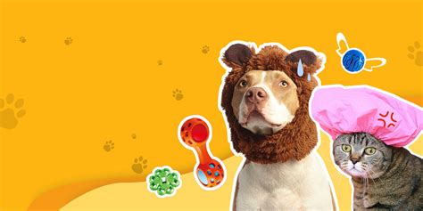 OEM/ODM производители товаров для домашних животных, поставщики игрушек ...